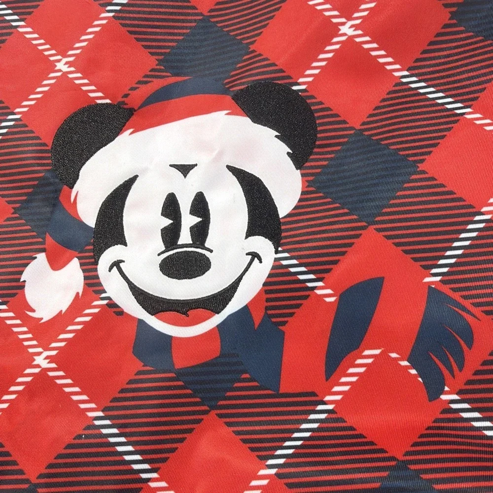 Disney mickey mouse